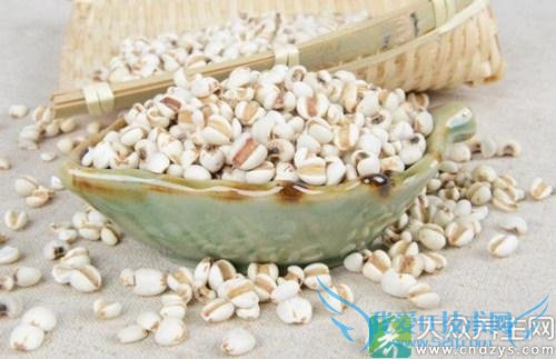 ޲���ʵ���������Щ��