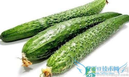 �����߲��м��ɣ������߲˲�Ҫ��(3)