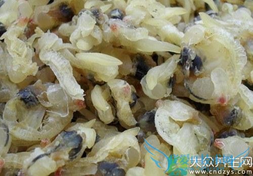  ѩ�������˿��Գ���