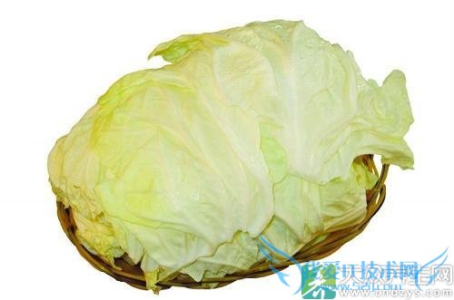 �ҳ���Բ�ײ˵�������ʲô��