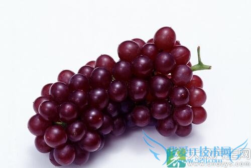 ��ʲô�Ƚ�����θ