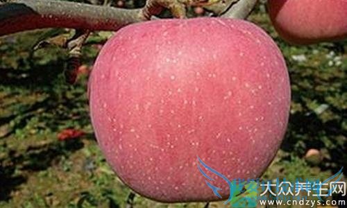 ����һ�����벻���İ˴�ʳ�(5)