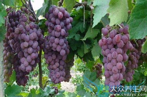 ���ϻ��ʳ������Щ�أ�