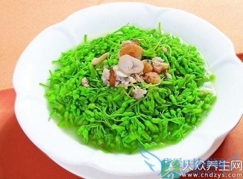 �̶�ѿ�Ĺ�Ч��ʲô