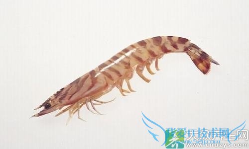 ����Ϻ����ʲô�ô�?