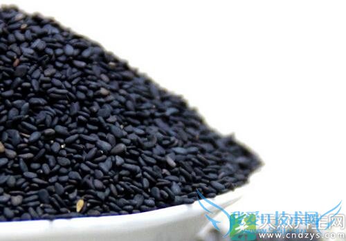 ��֥�������ĺô�����Щ�أ�