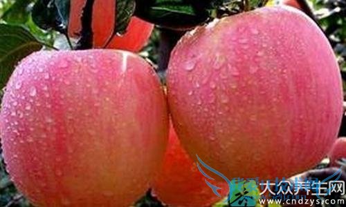 ��Ч���͵��̴���ʳ�ﾹ����Щ��(4)