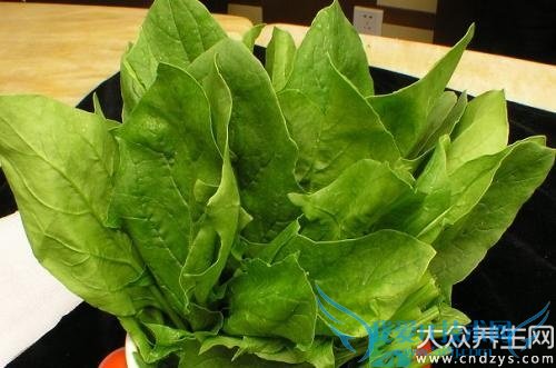 ��ʲôʳ�����Ƴٸ����ڣ�