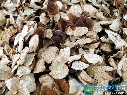  ��Ƥ��ù��ô����