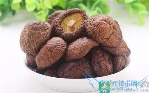 �㹽��ɽҩ�ɲ�����һ���