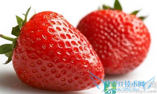 ��Щʳ�ﾹ�����������ߣ�(5)