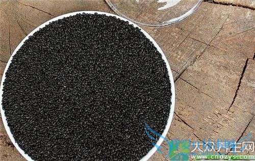 ݫ���ѵĹ�Ч����Щ��