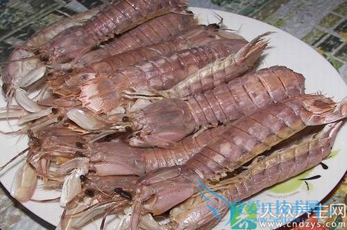 ����Ϻ���ӵ�������