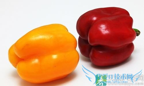 Ů�Ի��������ʳ�Ѳ��˹�ϵ!(4)