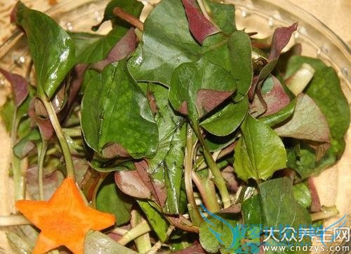 ���Ȳݵ�Ҷ���׿��Գ���