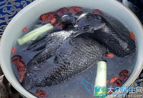 Ů�Ժ��ڼ�������Ѫ��