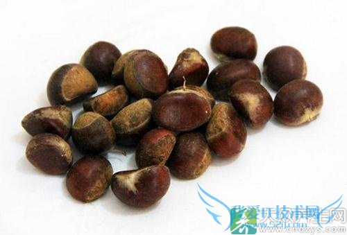 �����������ӻ�����������