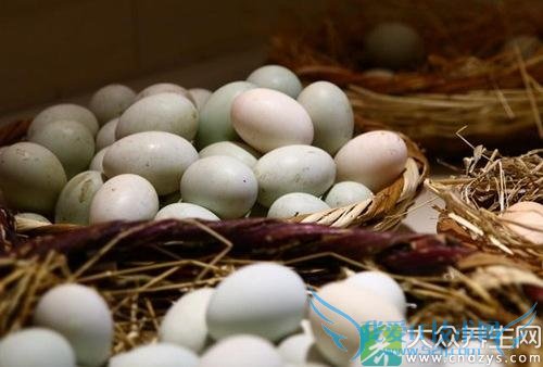 �ڼ����Է�����Ҫ����ʲôӪ����ֵ��