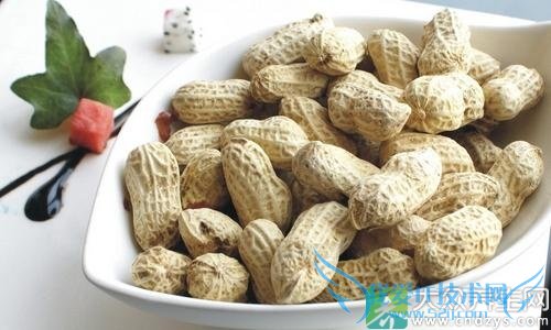 �ʺϹ��Ĳ����ߵ���ʳ���߲ˣ�(4)