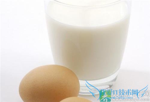 ��ţ�̼�������������Щ����