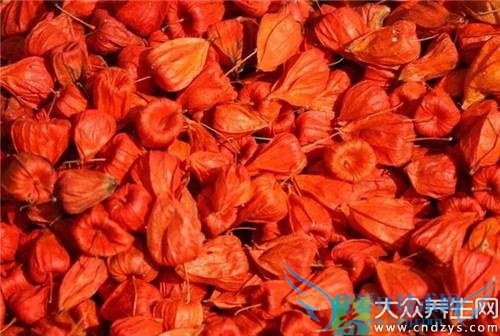 �칽��ҩ�ü�ֵ����Щ