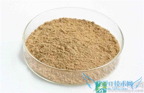 �ɻ���Ҫ��ô����