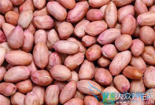 ����ҩ�ü�ֵ����Щ��