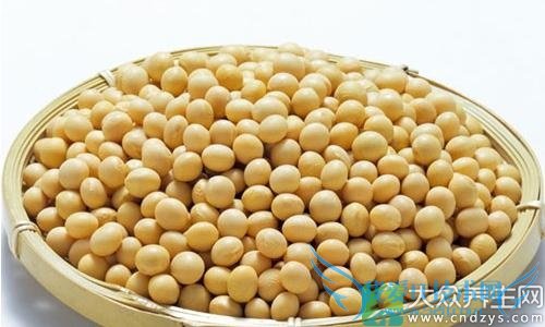 ���˳���5��ʳ��Խ��Խ�飡(2)