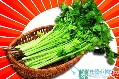 �۲˶�ѿ����ô����