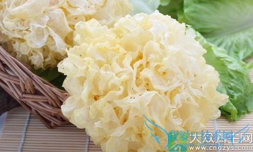 ������ô����ã�������һ�����ղ�Ѫ�ֻ��Σ�(5)