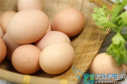 һ��Ӧ�óԼ���������