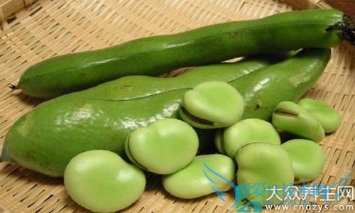 8�ֹ���Ƥ���˻��ж���Ҫ����ʳ�ã�(5)