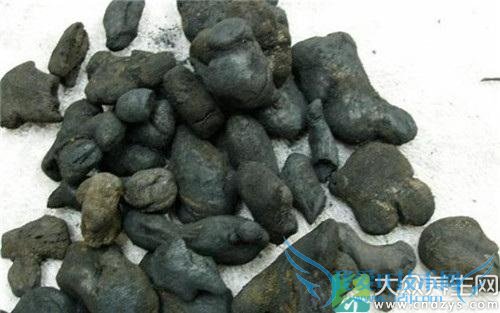 ��̿�������빦Ч��ʲô