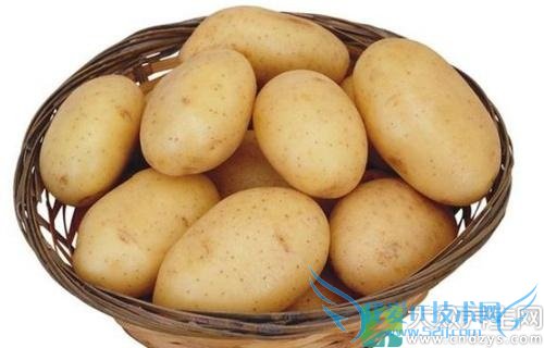 ������ţ��һ��Ժ���