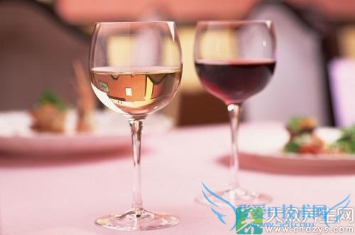 �˲���֥��轾���ʲô���ã�