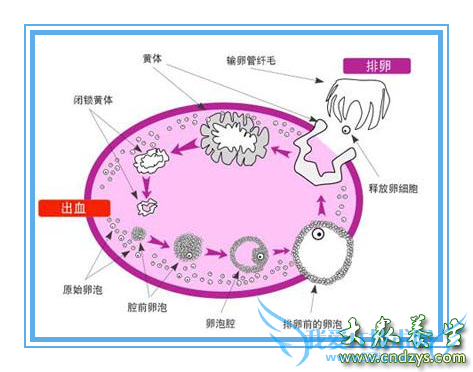 ���Ԥ����Ȼ������11�ַ���Ԥ������(2)