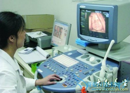 �ʳ���̥���Ա�