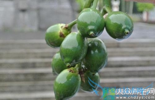 �����ܳ�������