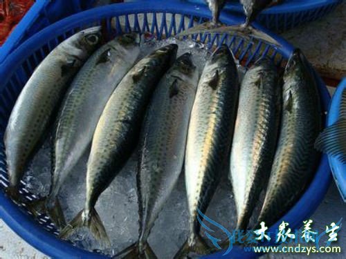 �и��ܳ�������