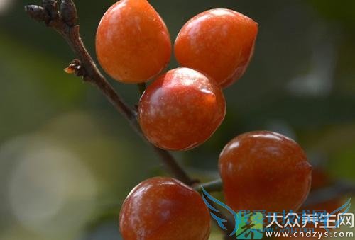 �����ܳ�ӣ����