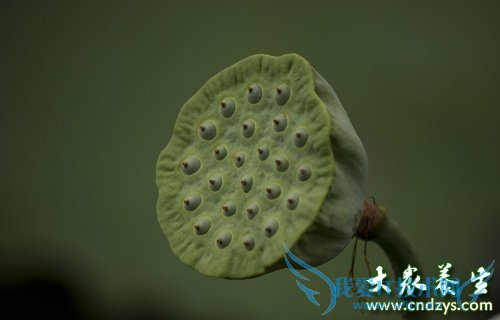 ��������ʲô