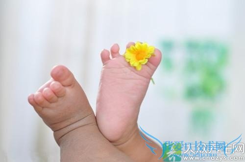 ʲô�Ǽ�׵������?