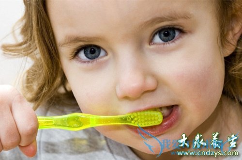 С������ע������  