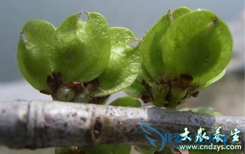 �и��ܳ���Ǯ��