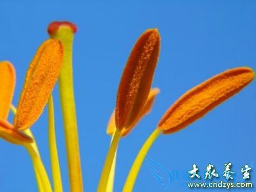 �������۹�����ô�� 