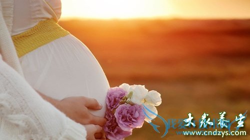 �ļ�̥�̻�����(2)