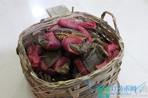 �����ܳ���з��