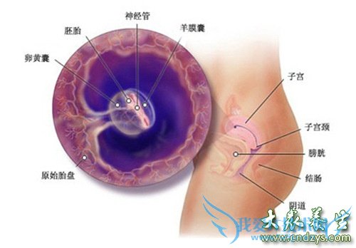 ��̥ͣԪ�ס�������ı���Ϊʲô���ٳ���(2)