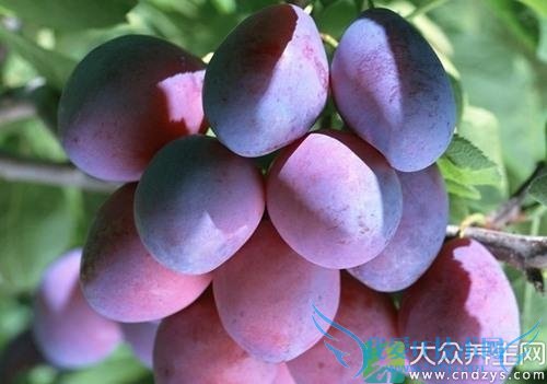 �����ڿ��Գ���÷��