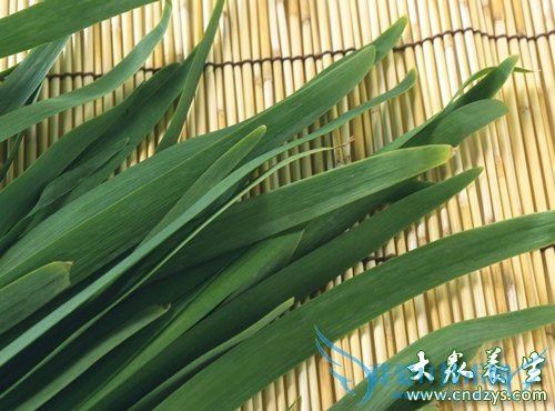 ��Ѫѹ����ͷʹ��ô��?(2)